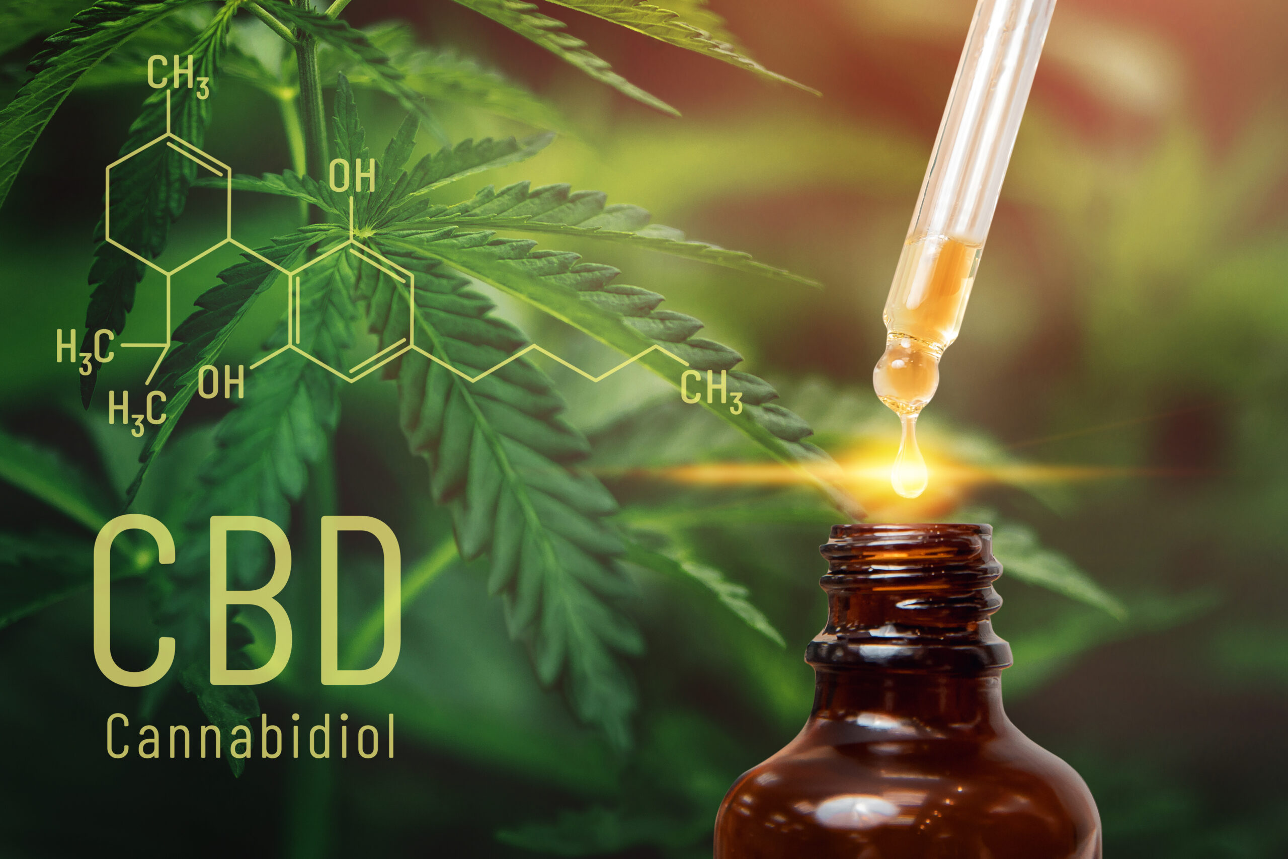 CBD Oil and Athletes - Is It A Good Combination - Let’s Find Out